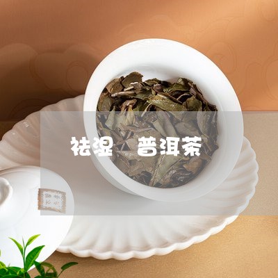 祛湿 普洱茶/2023042732389